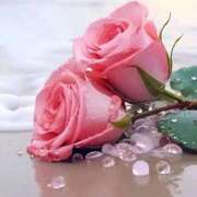 ヒメ日記 2025/12/06 08:30 投稿 えみこ 熟女の風俗最終章 町田店