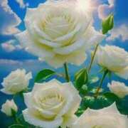 ヒメ日記 2025/12/06 12:27 投稿 えみこ 熟女の風俗最終章 町田店