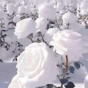 ヒメ日記 2026/01/14 07:40 投稿 えみこ 熟女の風俗最終章 町田店