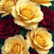 えみこ 有難う御座居ました 熟女の風俗最終章 町田店