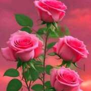 ヒメ日記 2026/01/19 14:00 投稿 えみこ 熟女の風俗最終章 町田店