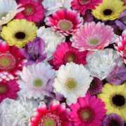 ヒメ日記 2026/02/02 15:50 投稿 えみこ 熟女の風俗最終章 町田店