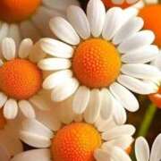 ヒメ日記 2026/02/18 09:05 投稿 えみこ 熟女の風俗最終章 町田店