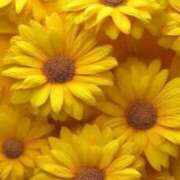 ヒメ日記 2026/02/18 11:57 投稿 えみこ 熟女の風俗最終章 町田店