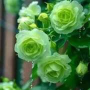 ヒメ日記 2026/02/18 20:00 投稿 えみこ 熟女の風俗最終章 町田店