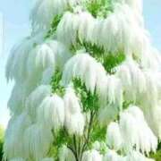 ヒメ日記 2026/03/19 10:35 投稿 えみこ 熟女の風俗最終章 町田店