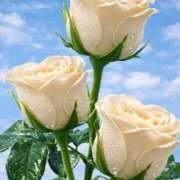 ヒメ日記 2026/04/13 08:00 投稿 えみこ 熟女の風俗最終章 町田店