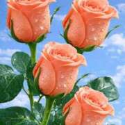 ヒメ日記 2026/04/13 15:00 投稿 えみこ 熟女の風俗最終章 町田店