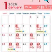 ヒメ日記 2026/01/05 11:17 投稿 ゆめ 脱がされたい人妻 春日部店