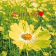 ヒメ日記 2025/03/06 14:16 投稿 仙道 熟女待機所 厚木店