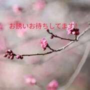 ヒメ日記 2025/03/14 14:53 投稿 仙道 熟女待機所 厚木店