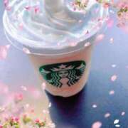 ヒメ日記 2025/04/09 20:16 投稿 ゆい 逢って30秒で即尺