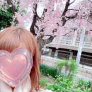 ヒメ日記 2025/04/10 18:43 投稿 ゆい 逢って30秒で即尺