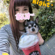 ヒメ日記 2025/04/30 18:55 投稿 あんず eroina