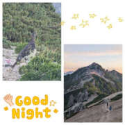 ヒメ日記 2025/07/31 18:07 投稿 あんず eroina