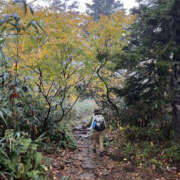 ヒメ日記 2025/10/17 18:43 投稿 あんず eroina