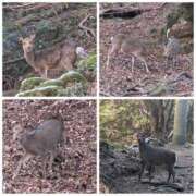 ヒメ日記 2026/01/22 18:02 投稿 あんず eroina