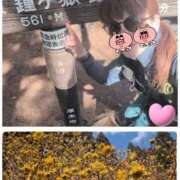 ヒメ日記 2026/03/10 18:16 投稿 あんず eroina