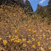 ヒメ日記 2026/03/12 08:06 投稿 あんず eroina