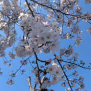 あんず ごめんなさい！ eroina