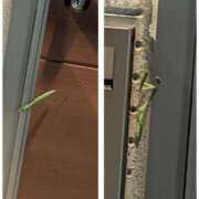 ヒメ日記 2026/09/06 08:48 投稿 あんず eroina