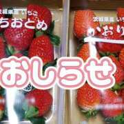 ヒメ日記 2024/12/10 18:30 投稿 美崎-みさき- ミセスまーと