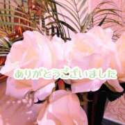 ヒメ日記 2024/12/31 17:30 投稿 美崎-みさき- ミセスまーと