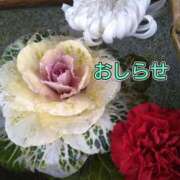 ヒメ日記 2025/01/06 20:20 投稿 美崎-みさき- ミセスまーと