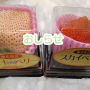 ヒメ日記 2025/02/10 18:30 投稿 美崎-みさき- ミセスまーと