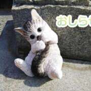 ヒメ日記 2025/02/25 15:33 投稿 美崎-みさき- ミセスまーと