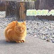 ヒメ日記 2025/03/18 09:30 投稿 美崎-みさき- ミセスまーと