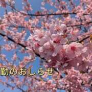 ヒメ日記 2025/04/03 09:29 投稿 美崎-みさき- ミセスまーと
