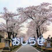 ヒメ日記 2025/04/09 21:21 投稿 美崎-みさき- ミセスまーと