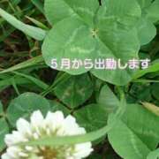 ヒメ日記 2025/04/28 13:00 投稿 美崎-みさき- ミセスまーと