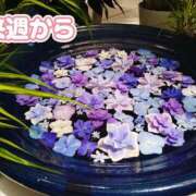 ヒメ日記 2025/05/15 20:28 投稿 美崎-みさき- ミセスまーと