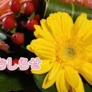 ヒメ日記 2025/05/19 12:07 投稿 美崎-みさき- ミセスまーと