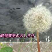 ヒメ日記 2025/05/28 20:47 投稿 美崎-みさき- ミセスまーと