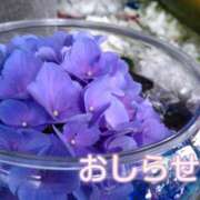 ヒメ日記 2025/07/01 19:00 投稿 美崎-みさき- ミセスまーと