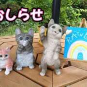 ヒメ日記 2025/08/10 13:00 投稿 美崎-みさき- ミセスまーと