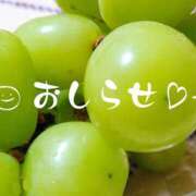 ヒメ日記 2025/09/08 18:41 投稿 美崎-みさき- ミセスまーと