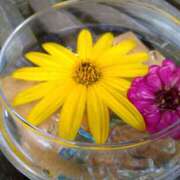 ヒメ日記 2025/09/26 16:57 投稿 美崎-みさき- ミセスまーと