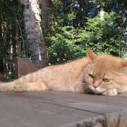 ヒメ日記 2025/10/13 21:11 投稿 美崎-みさき- ミセスまーと