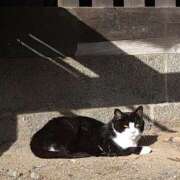 ヒメ日記 2025/10/21 12:55 投稿 美崎-みさき- ミセスまーと