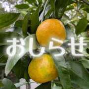 ヒメ日記 2025/10/28 11:00 投稿 美崎-みさき- ミセスまーと