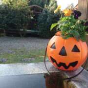 ヒメ日記 2025/10/30 20:42 投稿 美崎-みさき- ミセスまーと