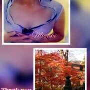 ヒメ日記 2025/11/16 11:05 投稿 美崎-みさき- ミセスまーと