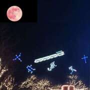 ヒメ日記 2025/11/20 18:08 投稿 美崎-みさき- ミセスまーと