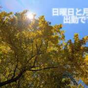 ヒメ日記 2025/11/22 10:30 投稿 美崎-みさき- ミセスまーと