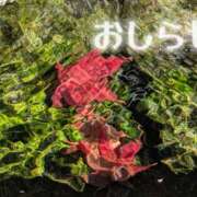 ヒメ日記 2025/12/01 14:11 投稿 美崎-みさき- ミセスまーと