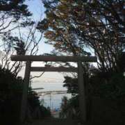 ヒメ日記 2025/12/03 11:00 投稿 美崎-みさき- ミセスまーと